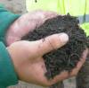 Compost and digestate benefits